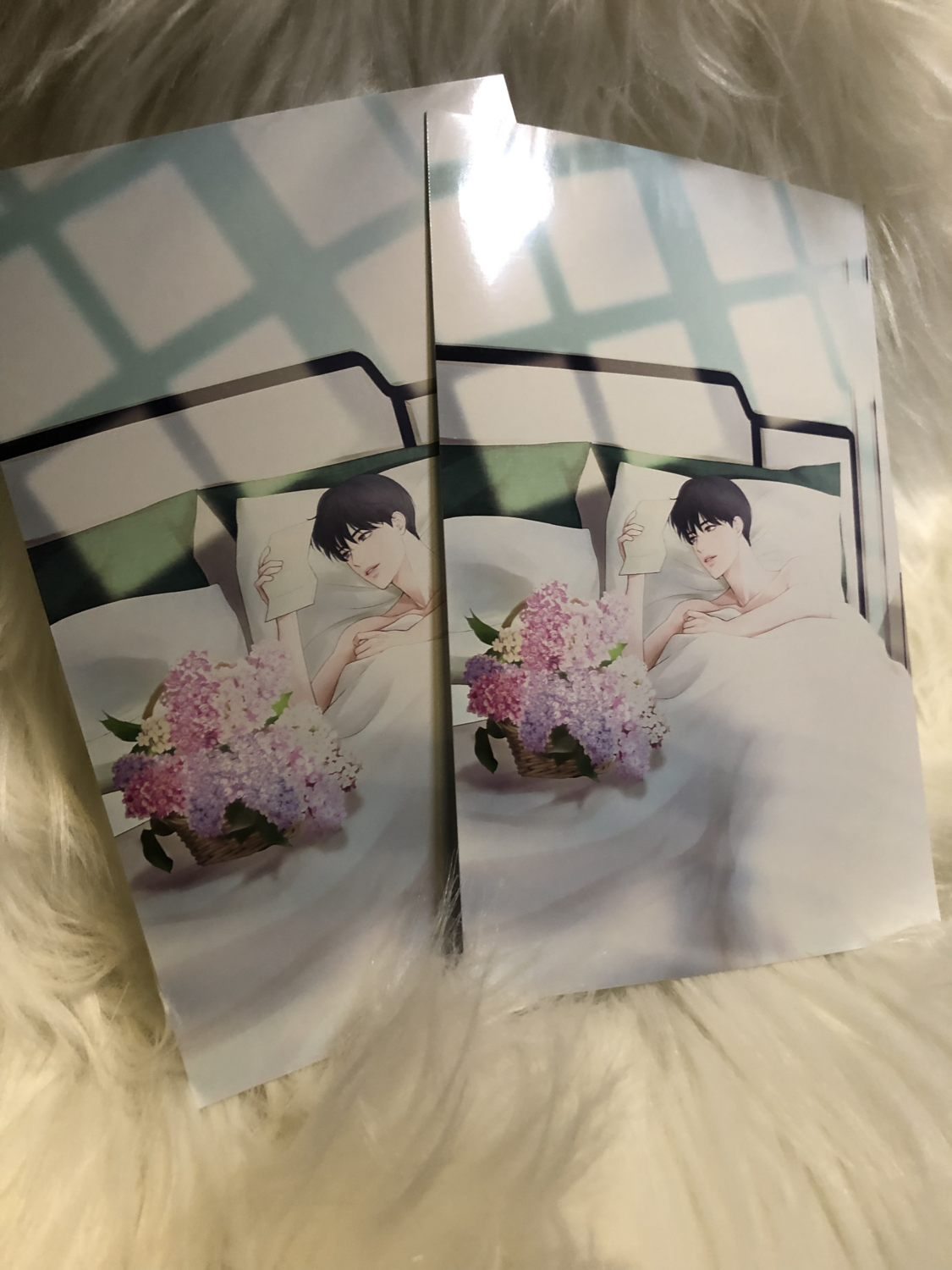 (Size: 4x6)