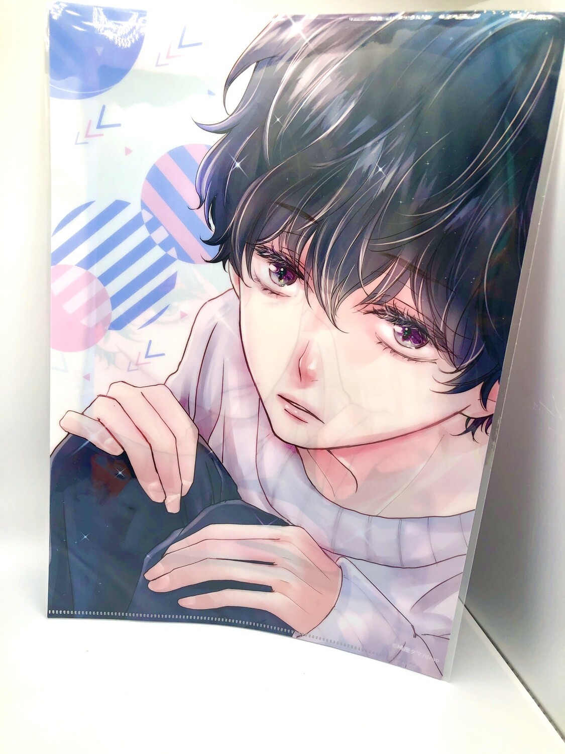 BL | Yaoi : Neko to Spica Clear file folder