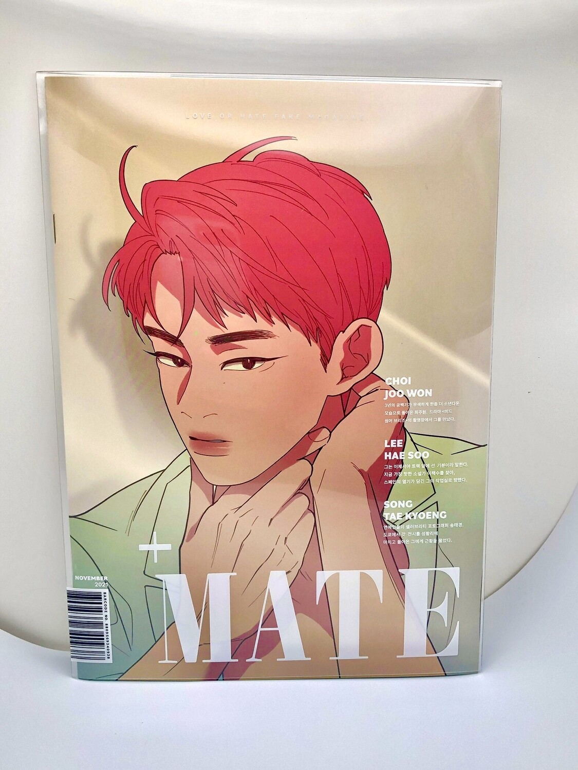 BL | Yaoi: Love/Hate Magazine