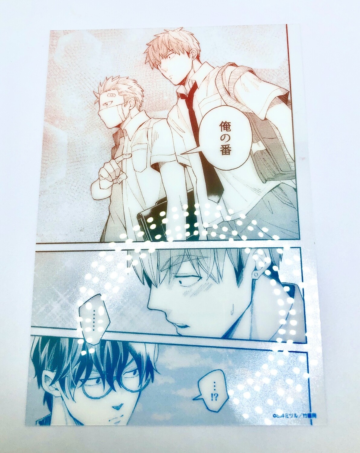 BL | Yaoi : Megumi &amp; Tsugumi Multi-Color Clear card