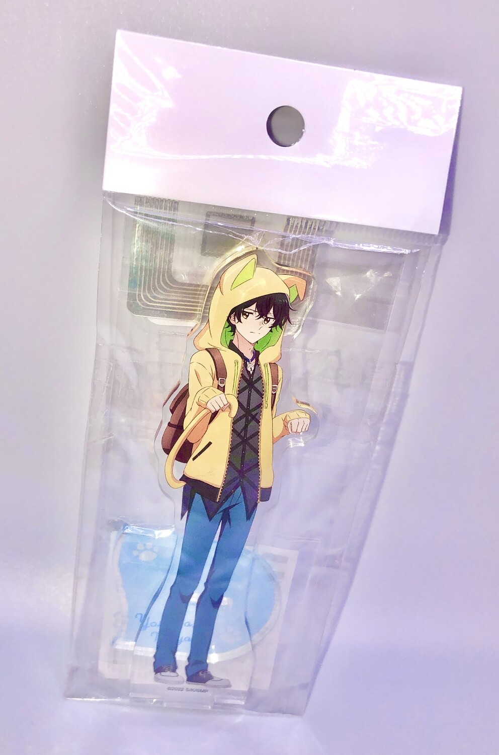 BL | Yaoi : Sasaki &amp; Miyano Acrylic Stand