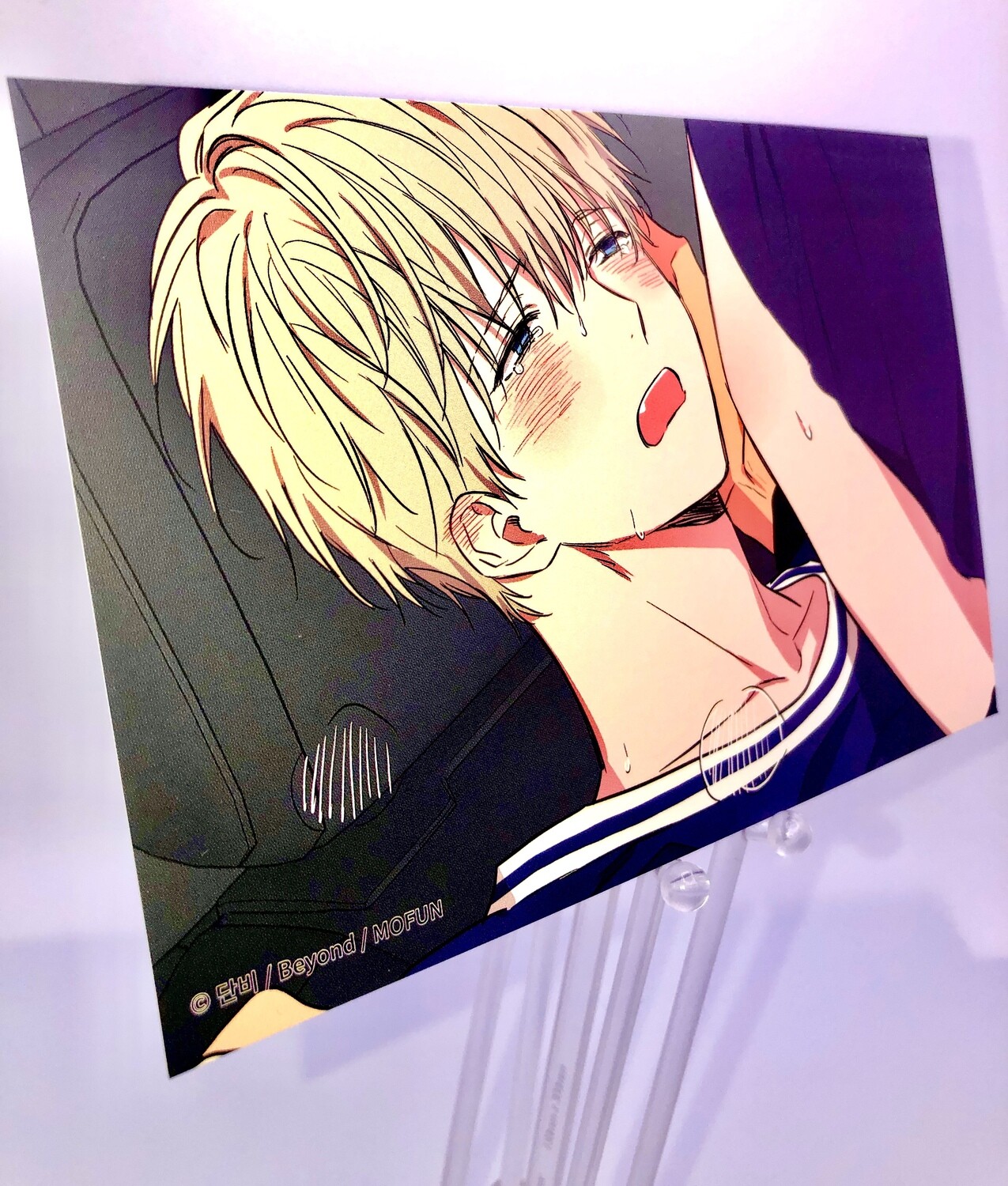 BL | Yaoi : No Love Zone Postcard