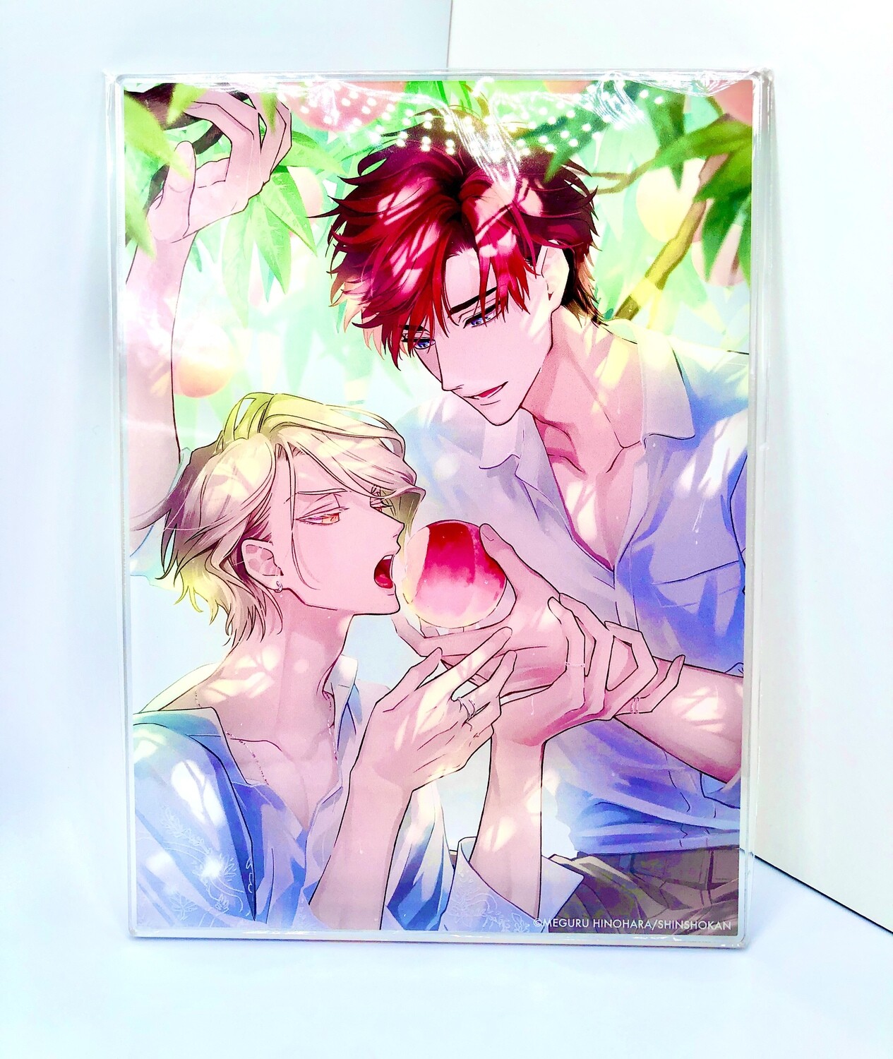 BL | Yaoi : Therapy Game acrylic plate