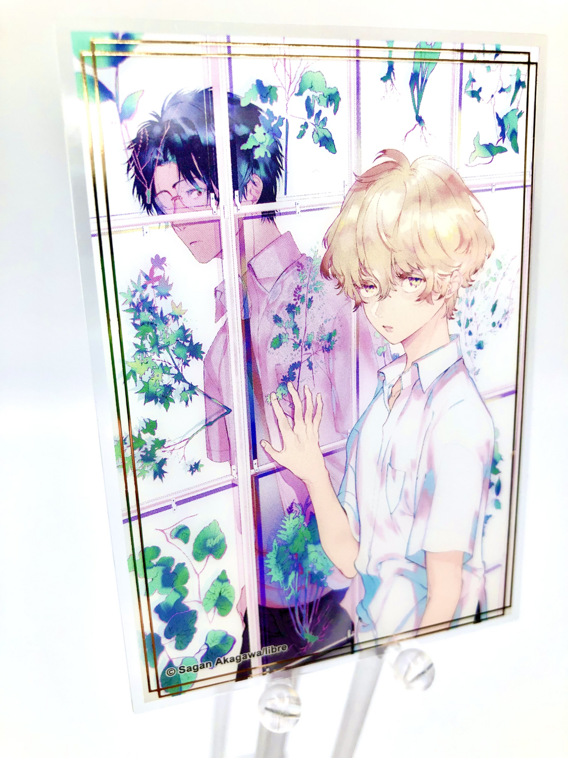 BL | Yaoi : Clear card