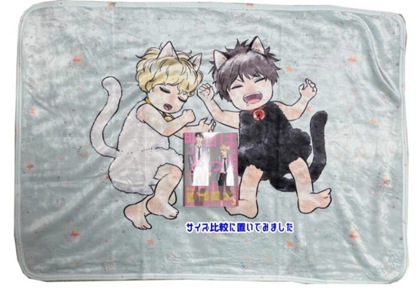 BL | Yaoi : Ashita wa Docchi da! Blanket