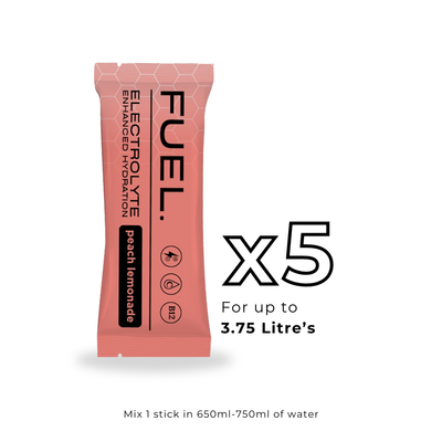 Fuel Electrolyte Powder x5