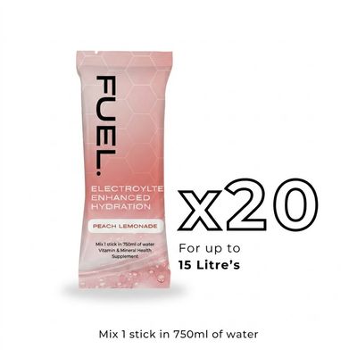 Fuel Electrolyte Powder x20