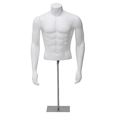 RECONDITIONED Male Half Body Waist High on Stand