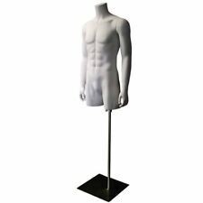 RECONDITIONED Male Half Body Thigh High on Stand