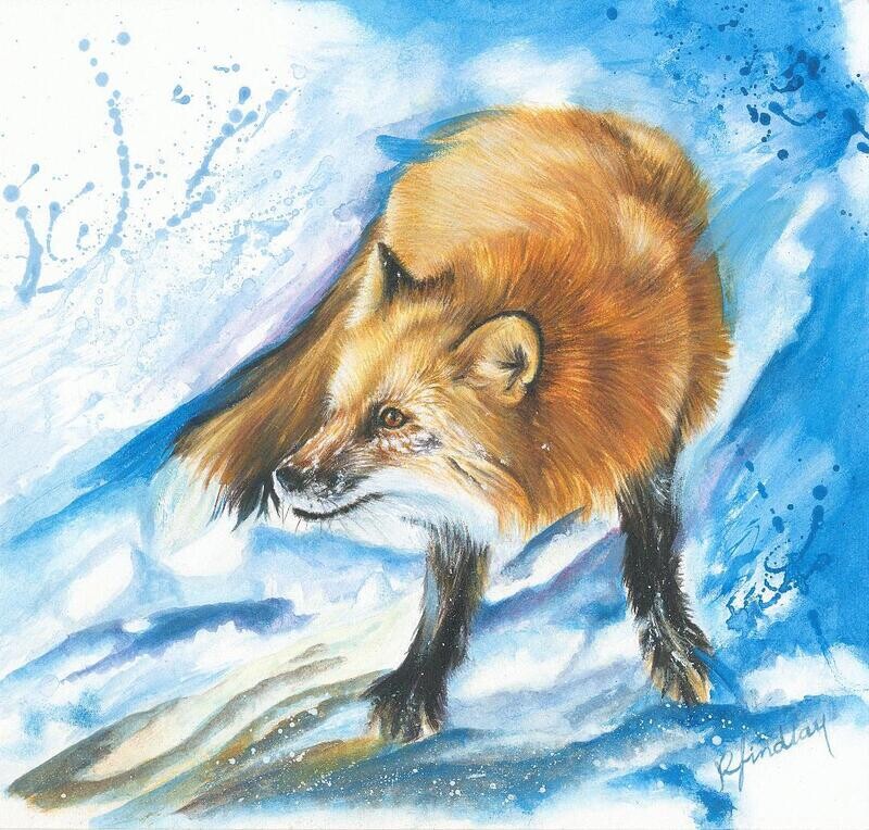 Snow Fox Original Artwork