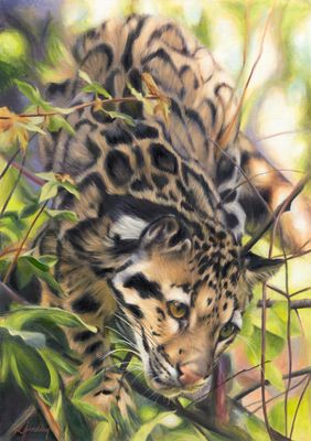 Forest Secret Fine Art Gicleé Print