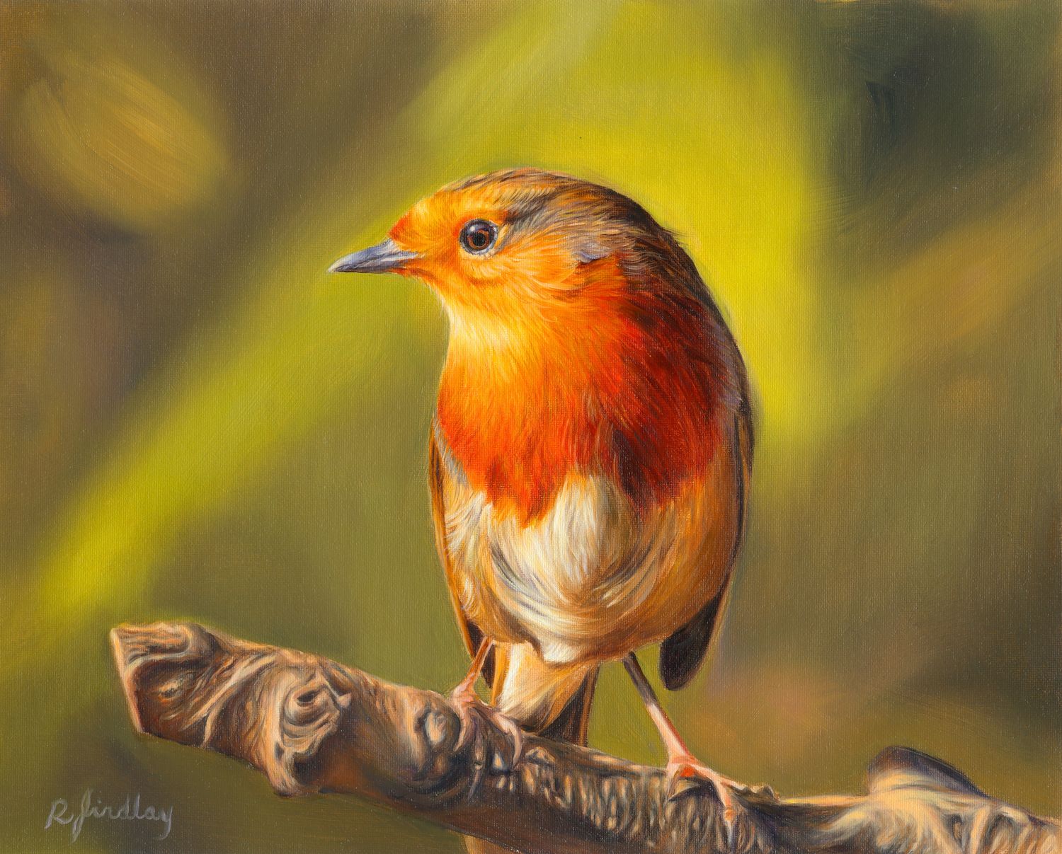 Little Visitor, Fine Art Gicleé Print