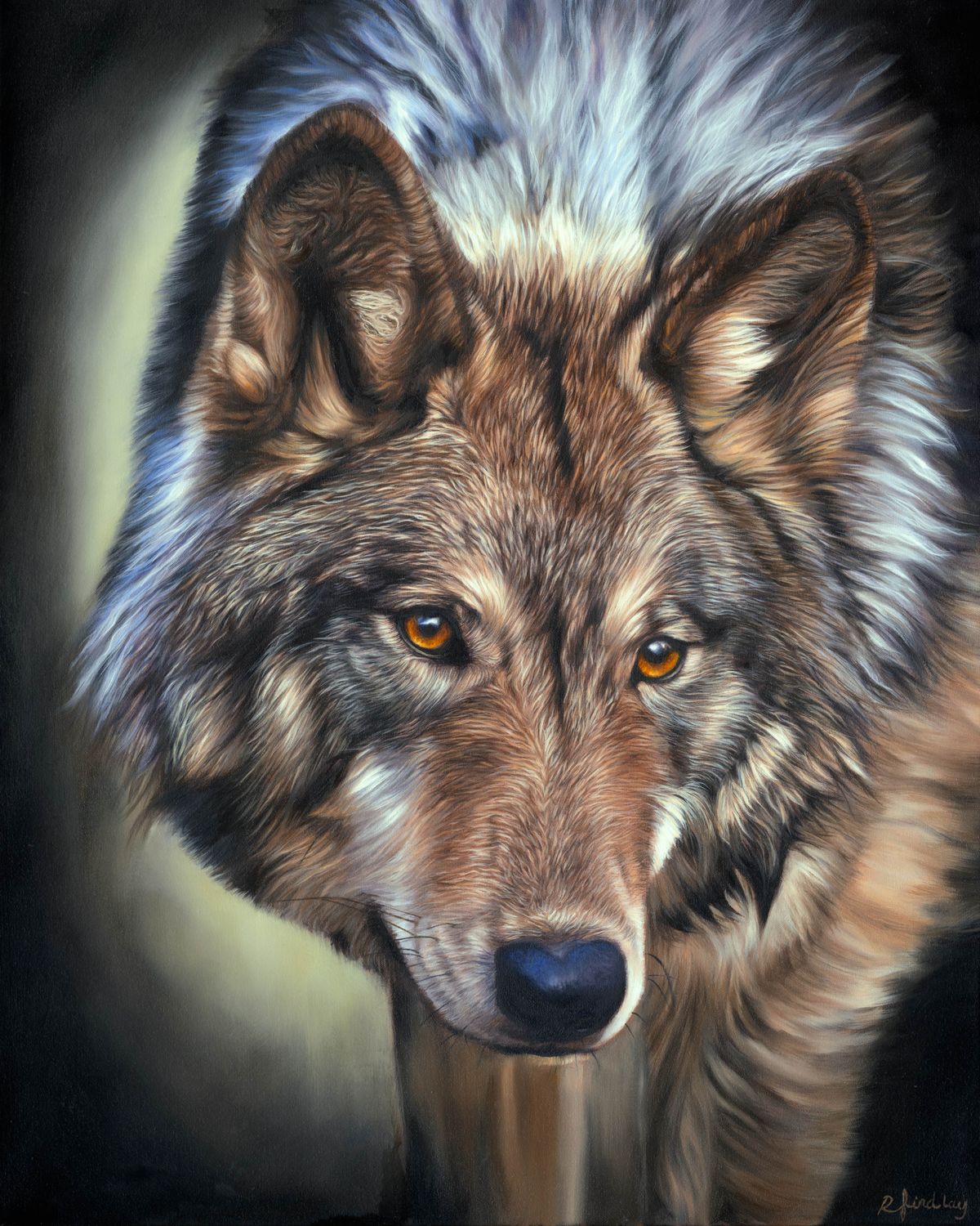 The Shadow Path, Fine Art Gicleé Print