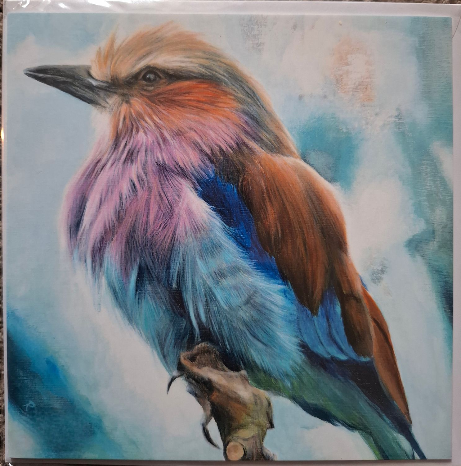 Bird of Peace Square Greetings Card