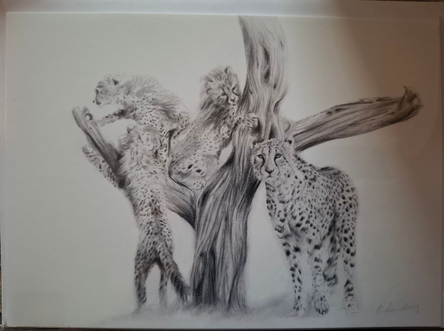 The Lookout (Cheetah Family), Landscape, Rectangle Greetings Card