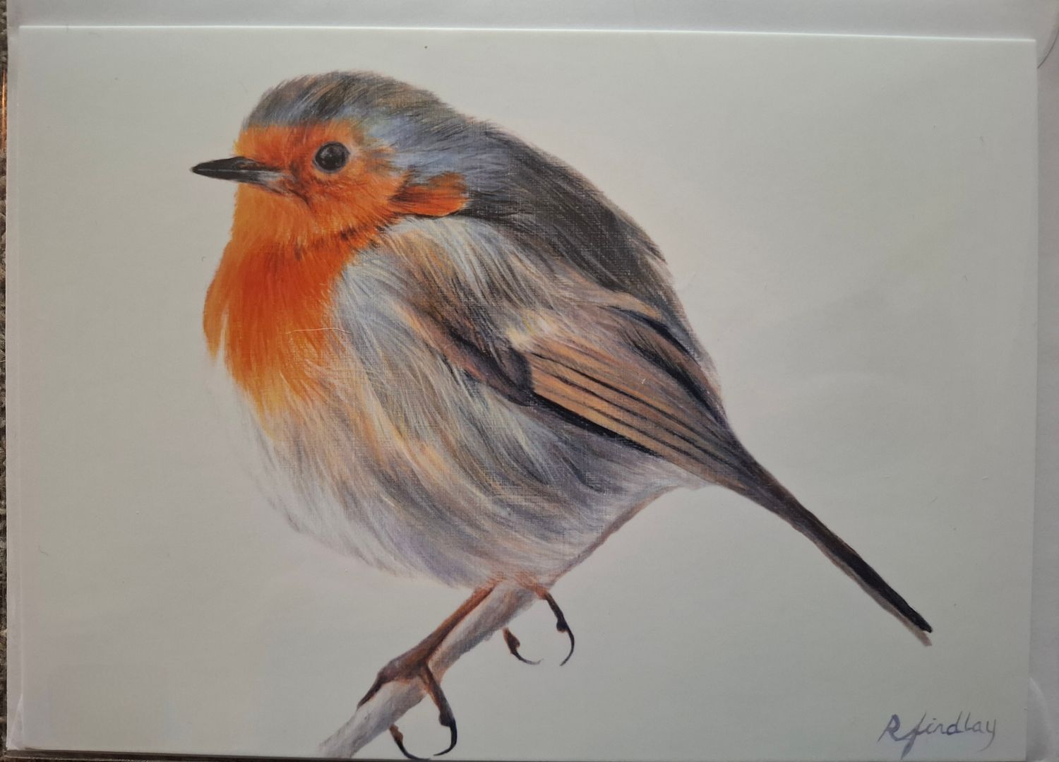 Robin, Landscape, Rectangle,  Tent Folded