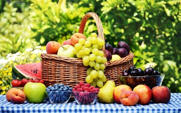 Healthy Lifestyle Living
