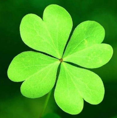 LUCK O' THE IRISH