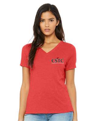 Ladies Triblend V-neck