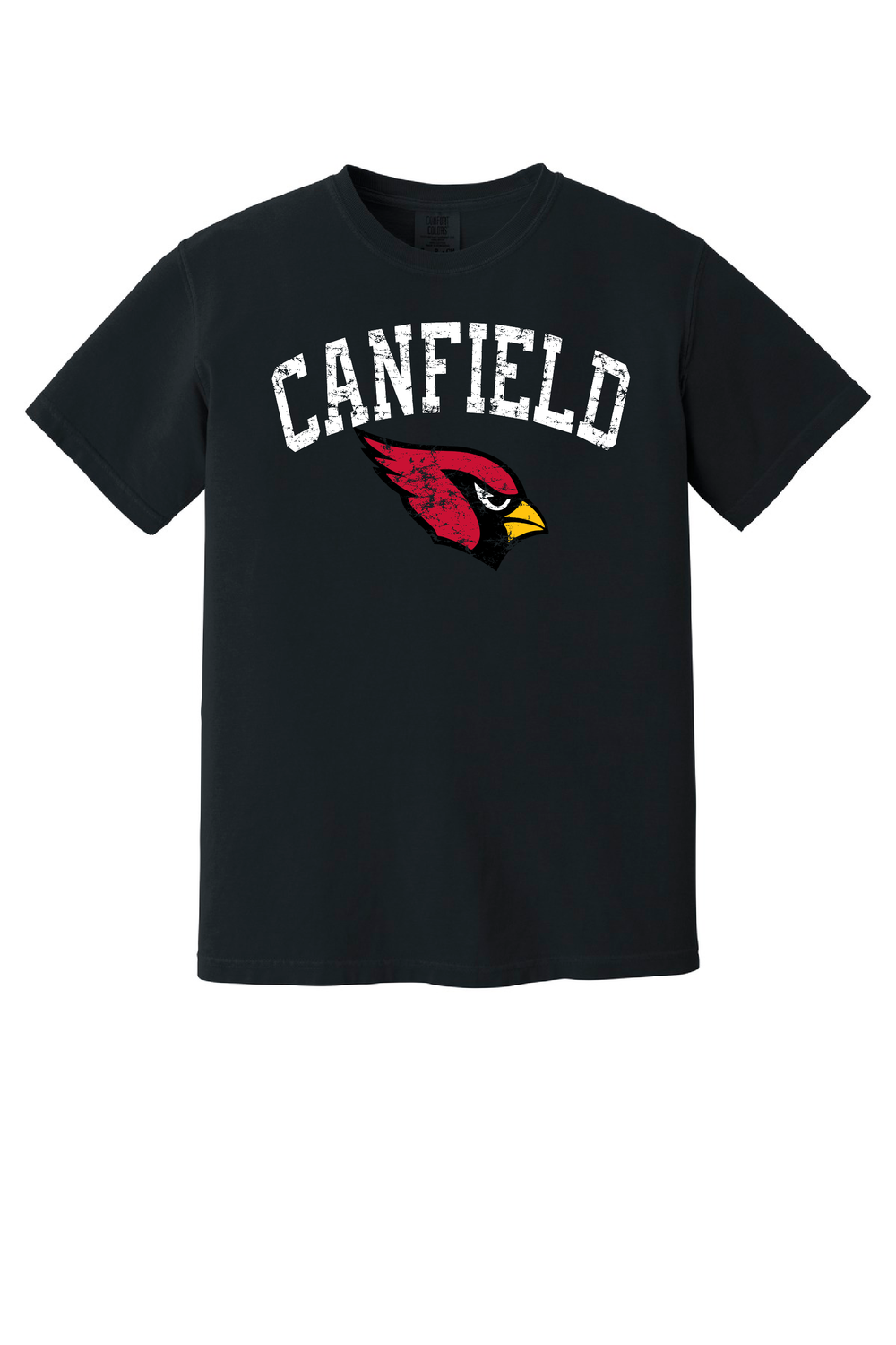 Adult Comfort Colors Distressed Tee