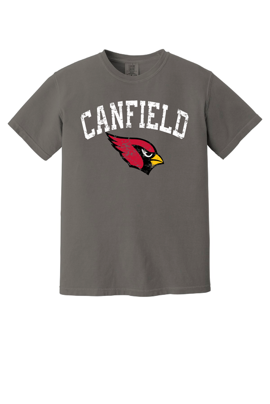 Adult Comfort Colors Distressed Tee