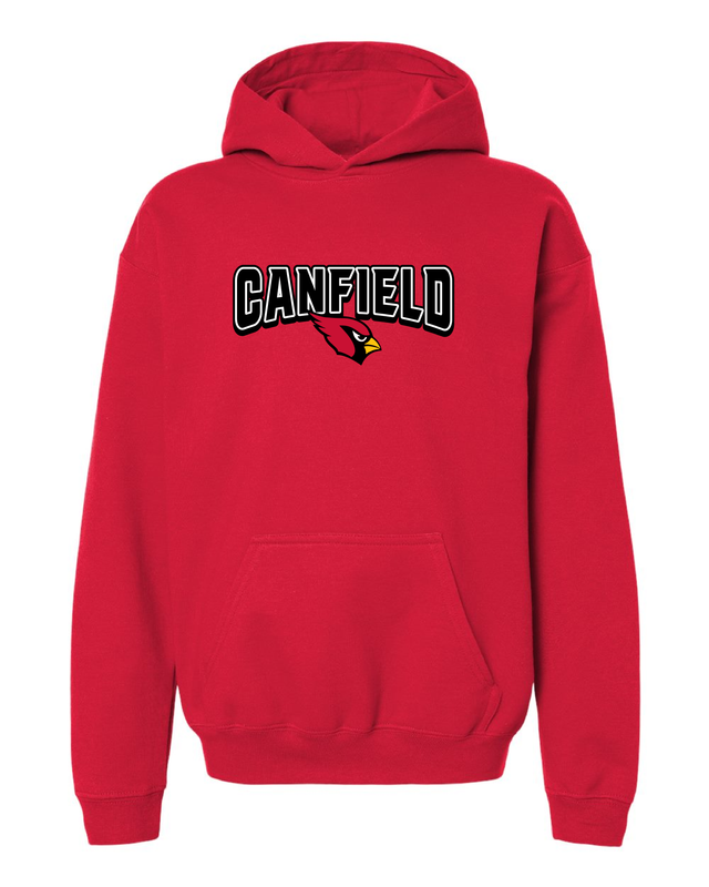Youth Hoodie