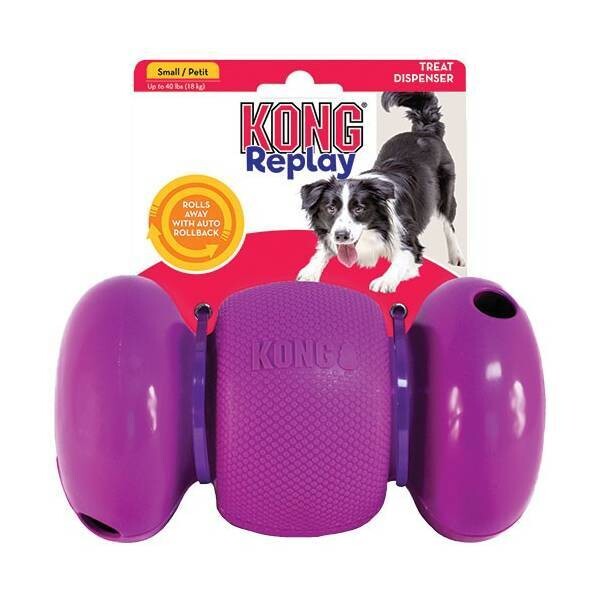 KONG REPLAY KONG REPLAY