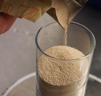 LEVURE DE BIERE 250G