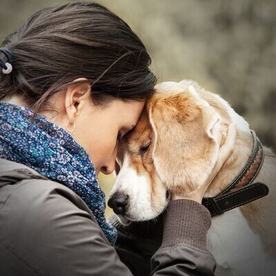 Recette SENIOT/LIGHT CANARD CURCUMA 2.5KG