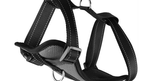 HARNAIS H MILOU GRIS TAILLE L
