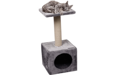 ARBRE A CHAT ET GRIFFOIR