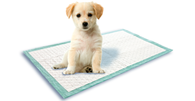 30X TAPIS EDUC CHIOT 40X60