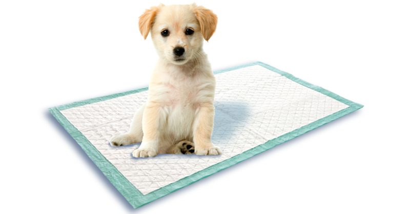 3X TAPIS EDUC CHIOT 60x60cm