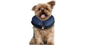COL GONFLABLE POUR CHIENS GOFI S