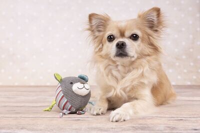 JOUET PELUCHE