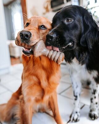 BENEBONE