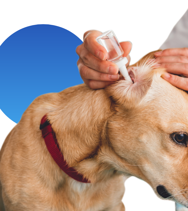 Nettoyant auriculaire Bouteille à presser L'ANTRE CHIEN&CHAT 50ML