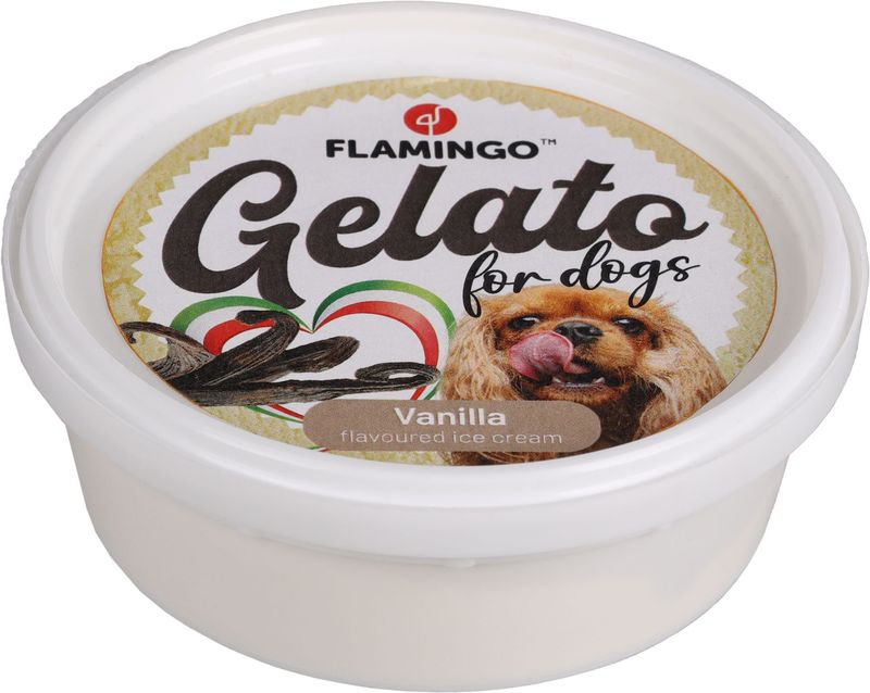 GLACE VANILLE