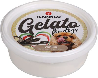 GLACE VANILLE GLACE VANILLE