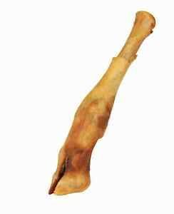 Pieds de mouton 100% NATURELLE X1