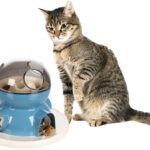 JCHAT JOUET INTERACTIF POUR CHAT DISO BLANC/BLEU 26x20CM