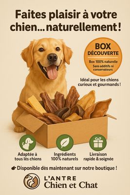 COFFRET découverte friandises pour chien  avec jouet OFFERT
