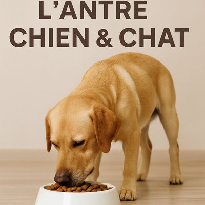 RECETTES ADULTE