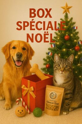 BOX SPÉCIALE NOËL