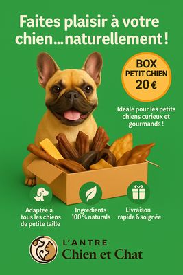 COFFRET découverte friandises pour petit chien avec jouet OFFERT