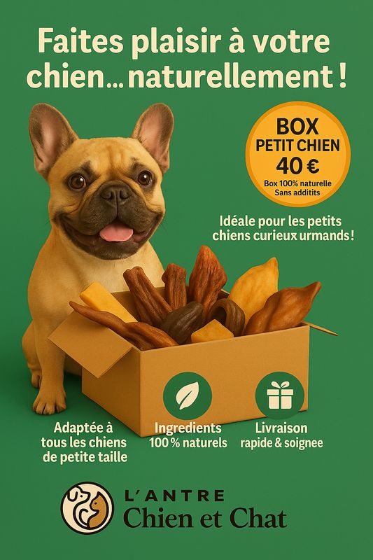 COFFRET découverte friandises pour petit chien avec jouet OFFERT