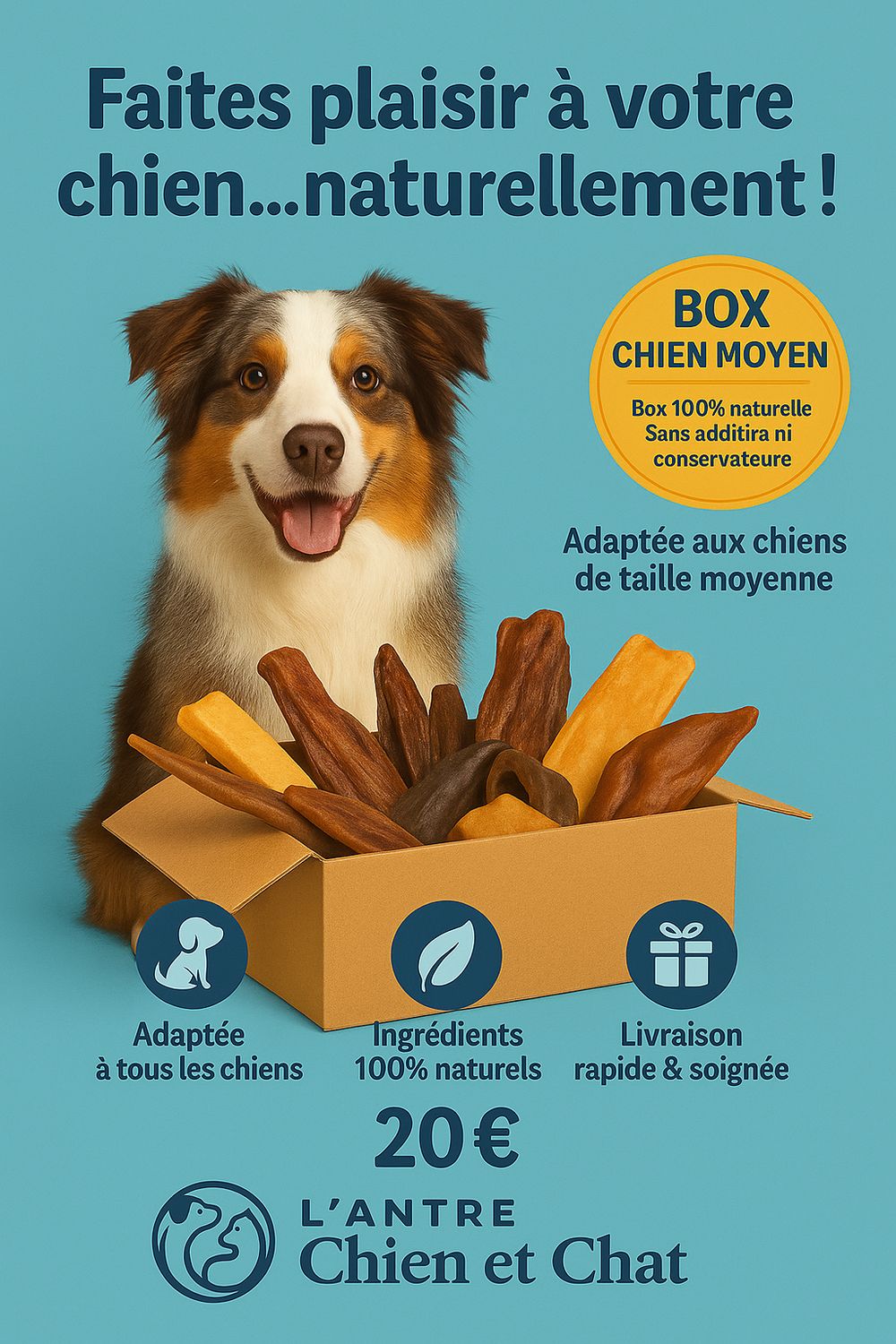 COFFRET découverte friandises pour chien moyen avec jouet OFFERT