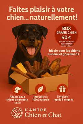 COFFRET découverte friandises pour grand chien avec jouet OFFERT