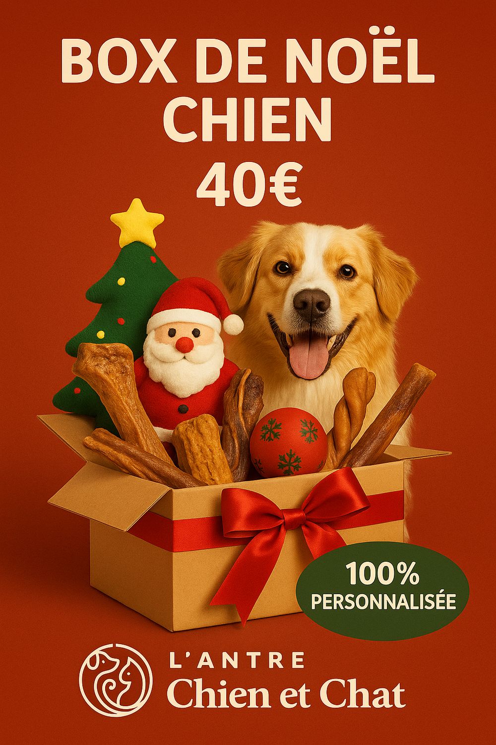 BOX DE NOËL CHIEN 40 EUROS