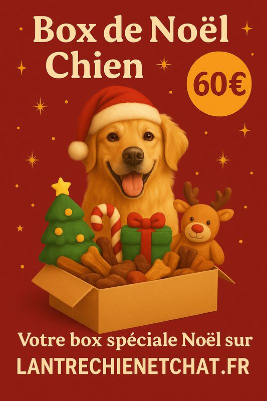 BOX DE NOËL CHIEN 60 EUROS